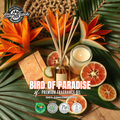 Bird of Paradise Premium Concentrated Fragrance Oil | SFWP