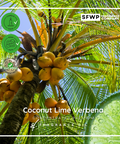Coconut Lime Verbena FO SFWP