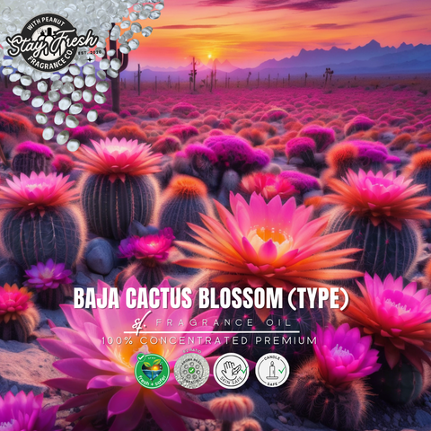 Scented Aroma Beads – Long-Lasting Fragrance by Stay Fresh With Peanut