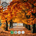 Leaves Type Fragrance Oil now Leaf Luxe | SFWP Fragrance Oil