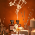 CONCENTRATED PREMIUM BACCARAT ROUGE TYPE FRAGRANCE OIL