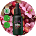 Sugarberry Fragrance Oil