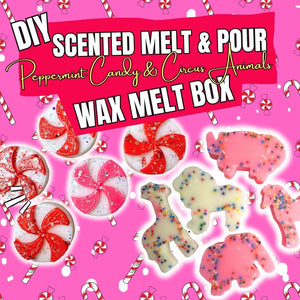 Scented Melt & Pour Wax Melt Box