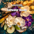 sea-salt-orchid-dupe-fragrance-oil.jpg