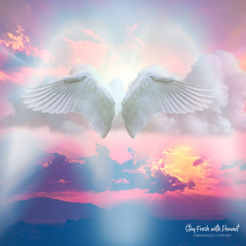 Scented Aroma Beads – Long-Lasting Fragrance by Stay Fresh With Peanut