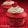 Red Velvet Fragrance Oil