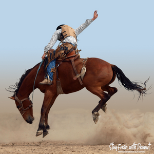 Rodeo Rider Fragrance Oil