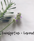 Lavender Eucalyptus Fragrance Oil