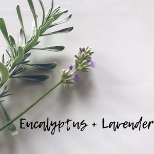 Lavender Eucalyptus Fragrance Oil