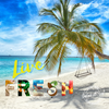 Live Fresh Fragrance Oil or Scented Beads
