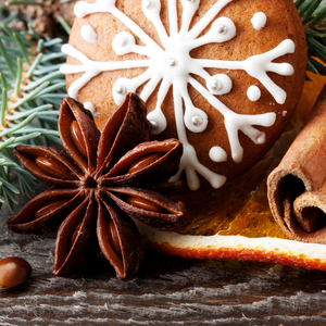 Spiced Gingerbread Fragrance  (BBW Type) Oil