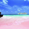 Pink Sands Fragrance OIl